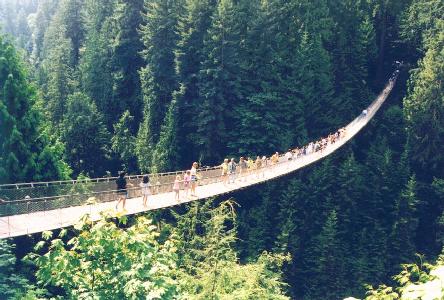 One of Canadas many tree-top suspension bridges.